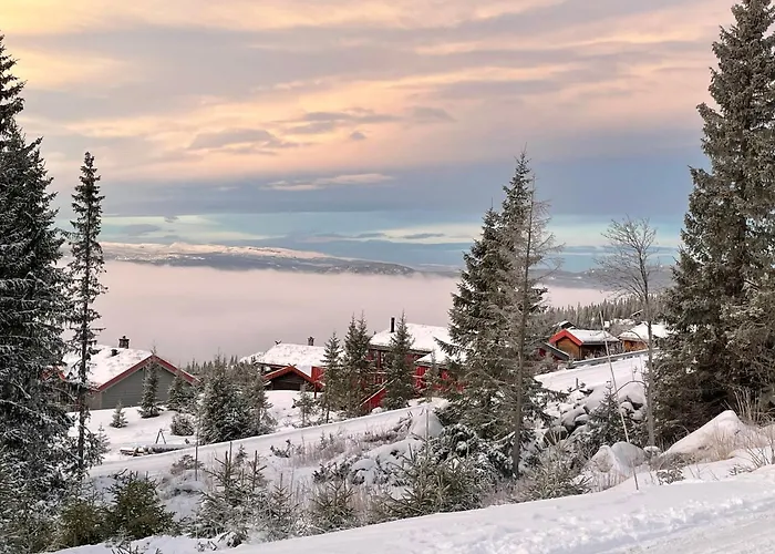 Ski And Bike-In And Out