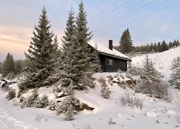 Ski And Bike-In And Out
