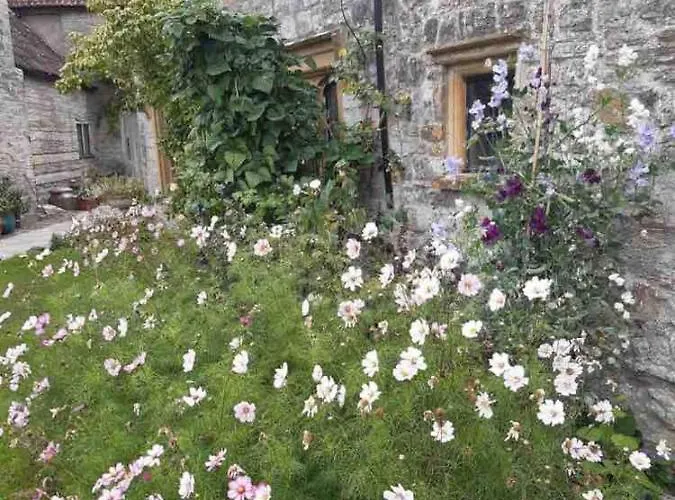 The Manor House, Curry Mallet