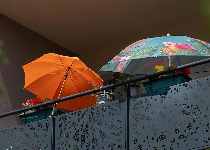 Hôtel accueillant les animaux: Residence Service Senior Domitys Les Alexis