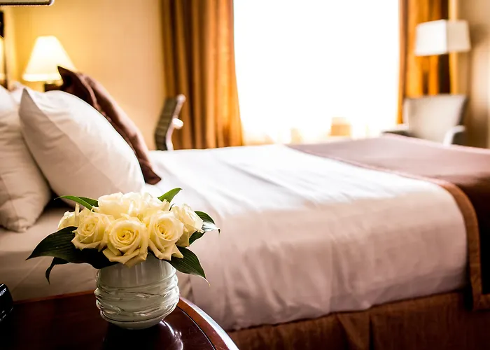 Motels Lord Nelson & Suites