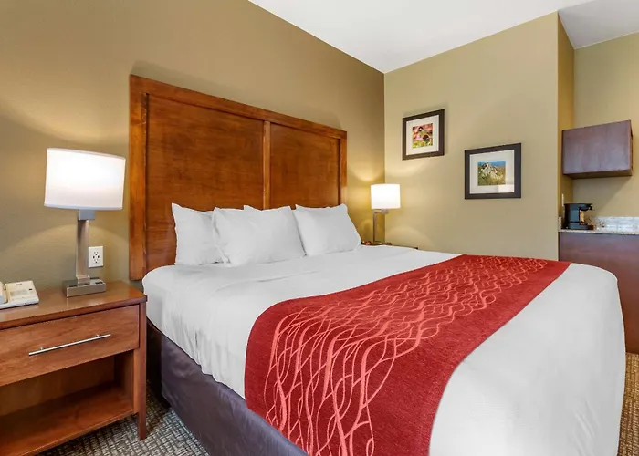 Comfort Inn & Suites Near Mt Rushmore