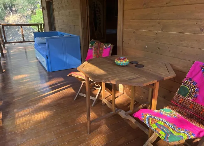 Rustic Cabin in the Woods/Cabaña en el bosque