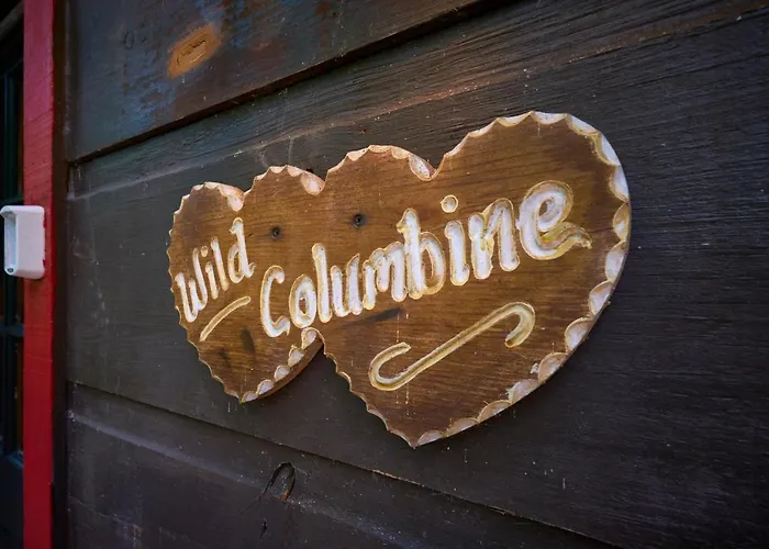 Wild Columbine - Gatlinburg Area Hottub Romantic Cabin