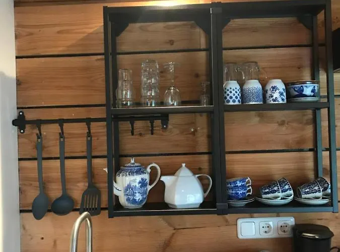 De Túnfûgel (tiny house)