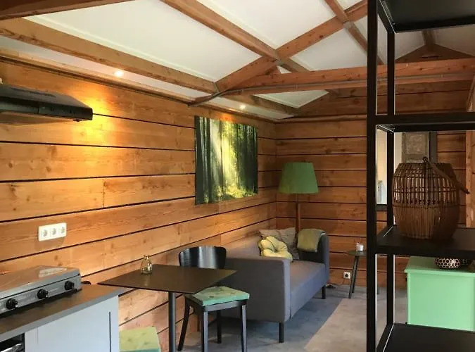 De Túnfûgel (tiny house)