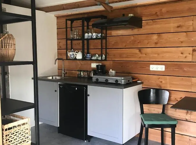De Túnfûgel (tiny house)