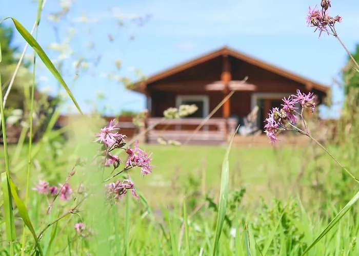 Strathisla - Luxury Two Bedroom Log Cabin With Private Hot Tub & Sauna
