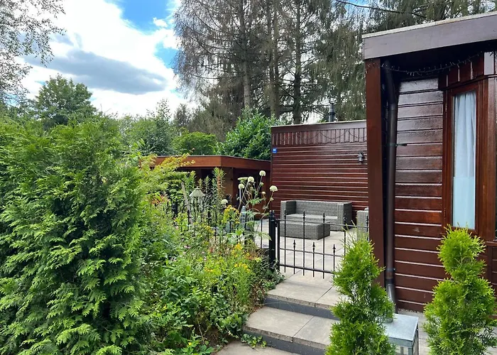 Veluwe Park Reewold Chalet Vision