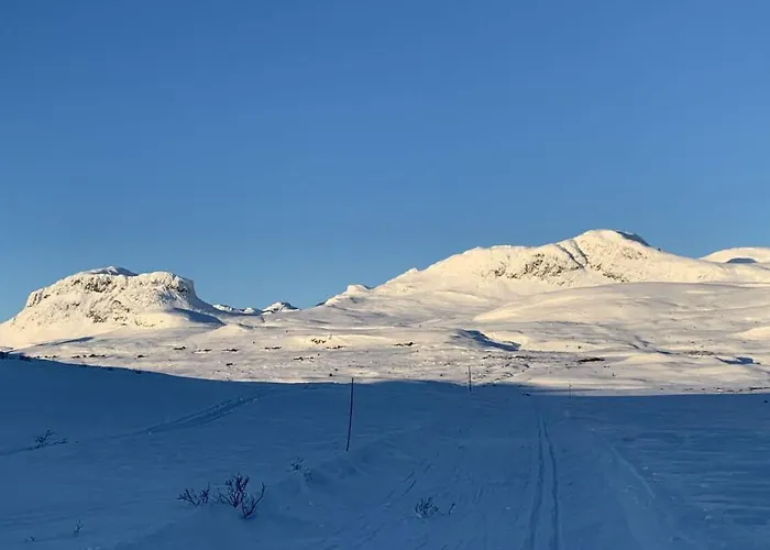 Venehovda - Cabin At 1000 Masl