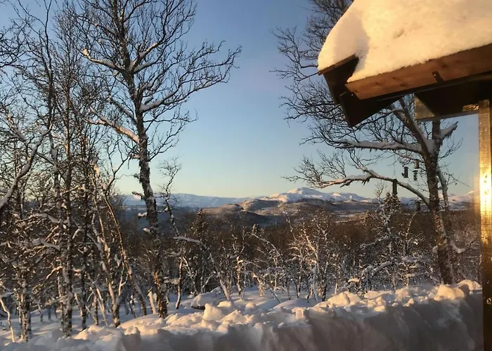 Venehovda - Cabin At 1000 Masl