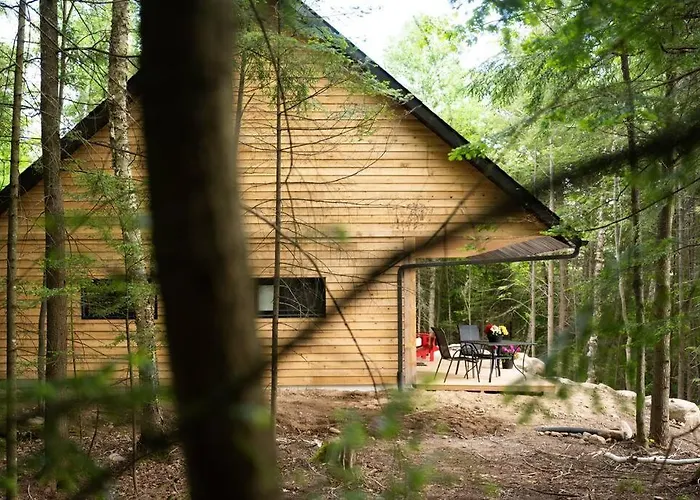 Private Cliffside Chalet Nestled In Nature With Western Sunsets & Waterfront Access Near Algonquin Park- Pass Included