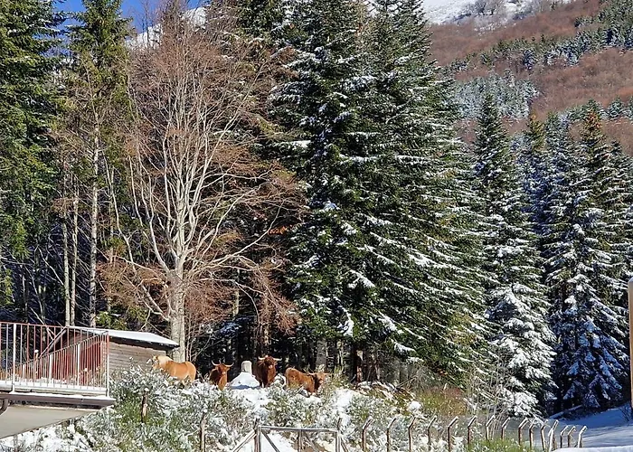 Alpe di Sara