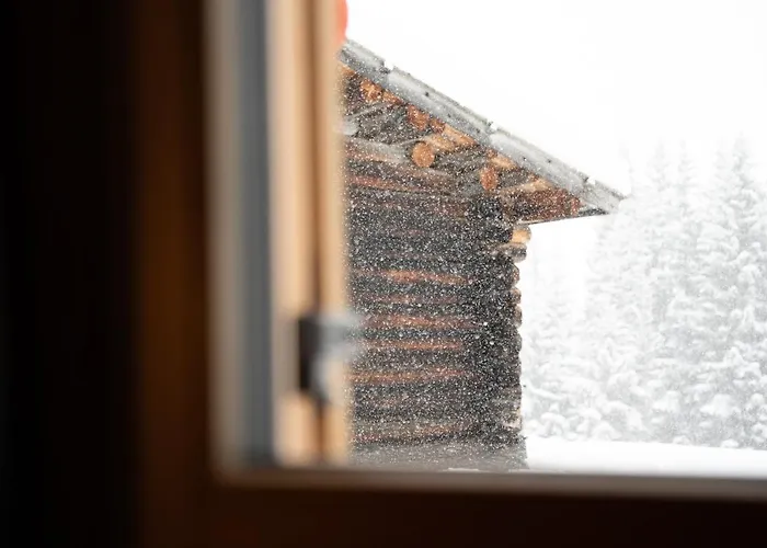 Chalet Silvesterhütte