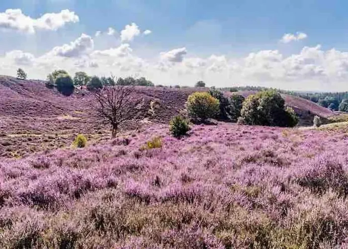 Chalet Toetje op de Veluwe