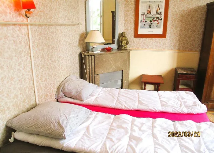 Mer A 200M,,Ds Les Mimosas En Fleur !