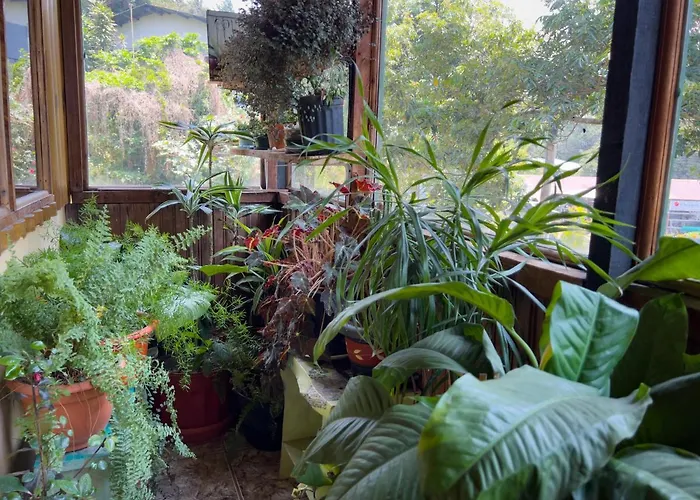 Casa Tranquilo