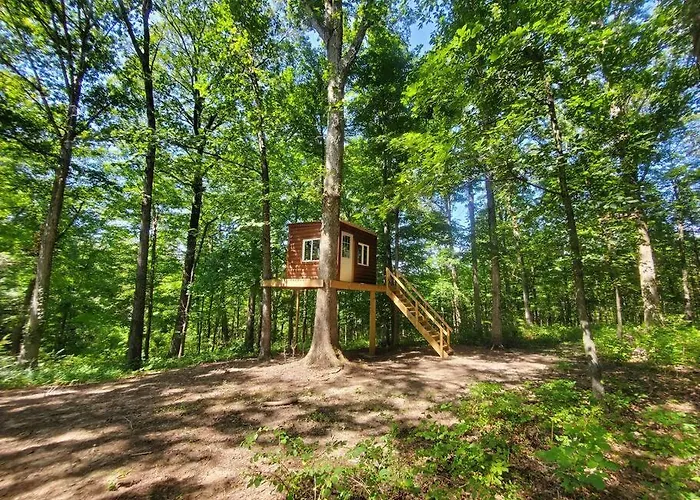 Kentucky Hills Country Cottage - Country Life