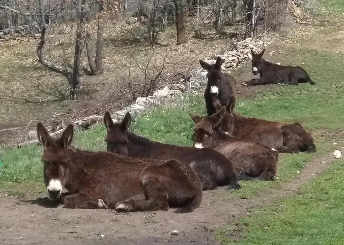 Casa Rural A Ritmo De Burro