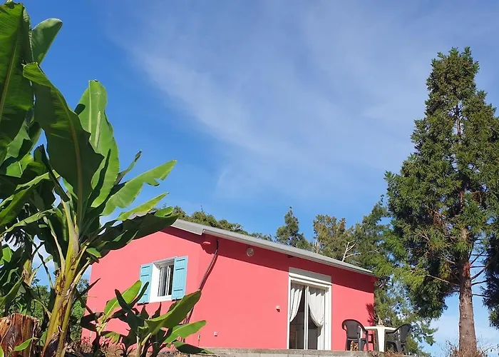 Au Coeur Des Plantations