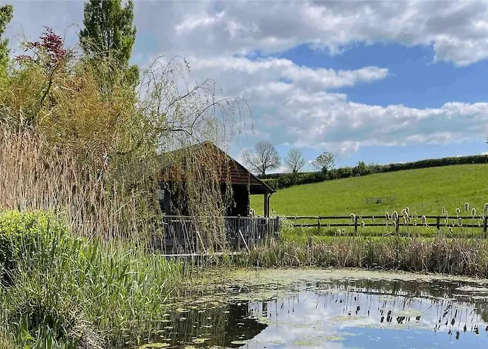 Lily Pad Lodge