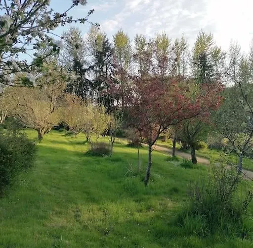 Chalet En Pleine Nature Au Bord D'Un Etang