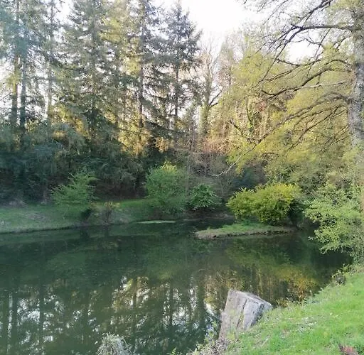 Chalet En Pleine Nature Au Bord D'Un Etang