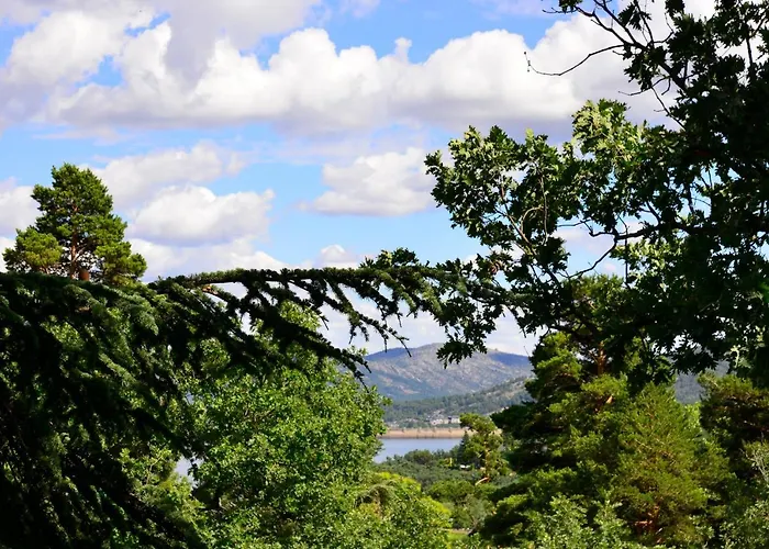 Nima Navacerrada