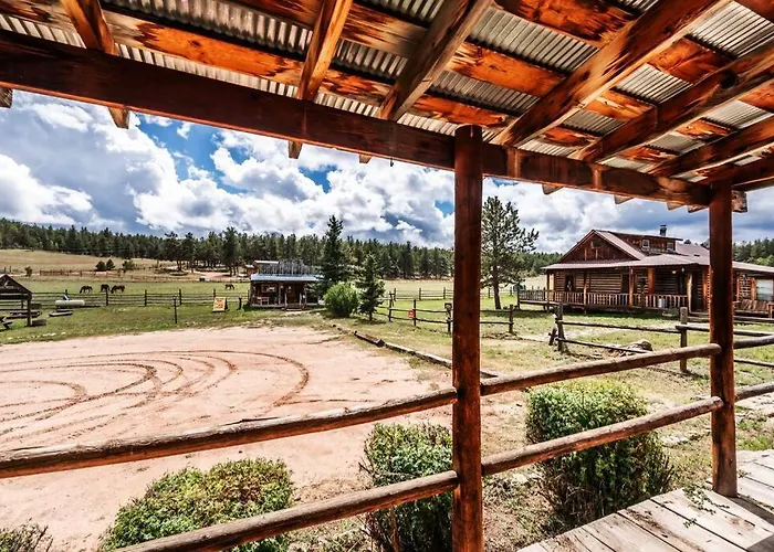 New! Charming Cozy Cabin Colorado National Forest