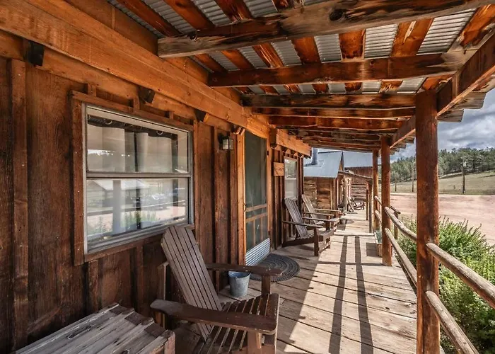 New! Charming Cozy Cabin Colorado National Forest