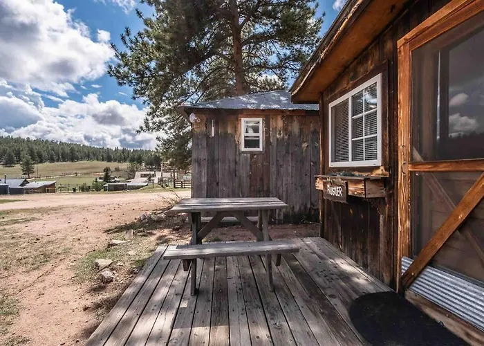 New! Charming Cabin In Colorado National Forest