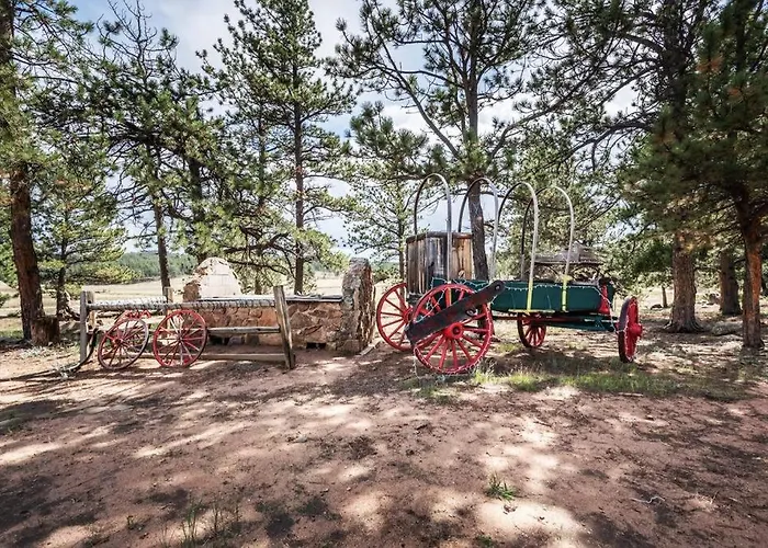 New! Charming Cozy Cabin Colorado National Forest