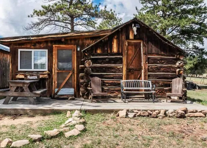 New! Charming Cabin In Colorado National Forest