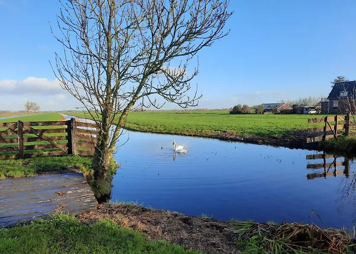 B&B De Oase