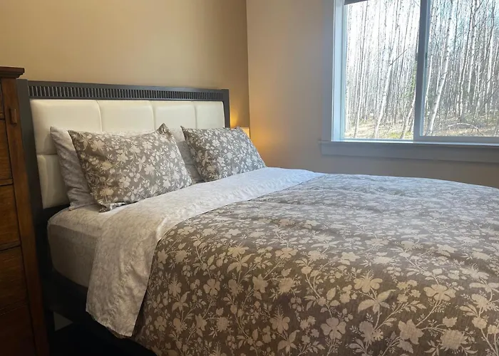 Talkeetna Mount Dall Cottage With Wifi&Laundry