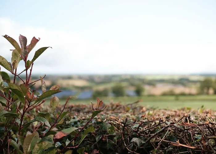 Drumnavaddy Cottage Banbridge, Dromore, County Down