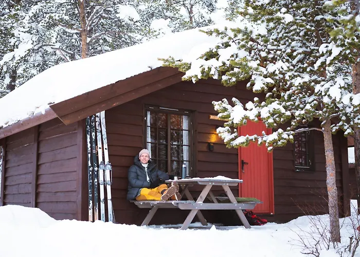 Sjodalen Hyttetun Og Camping