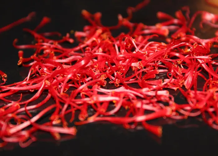 Azienda Agraria La Casella