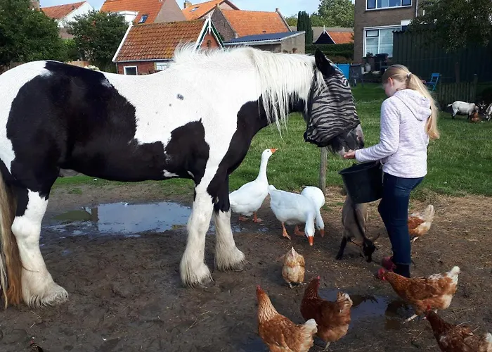 Chalets op Minicamping Dorpszicht