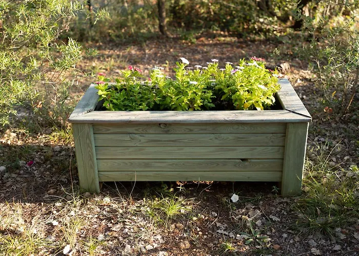 Chalet Dans Plusieurs Hectares De Nature