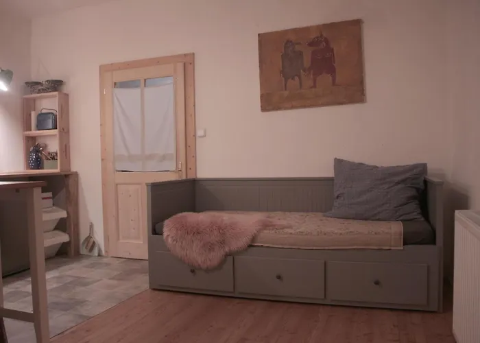 Statek uprostřed divoké zahrady