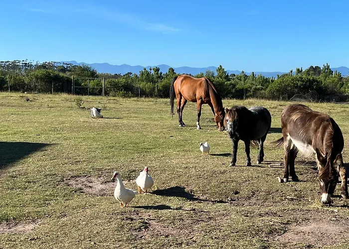 Stoneridge Farm