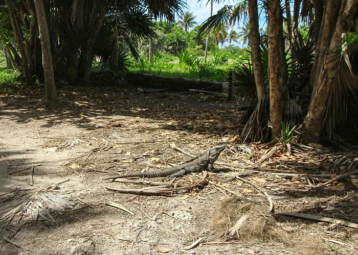 Menesse Tulum #327, Downtown