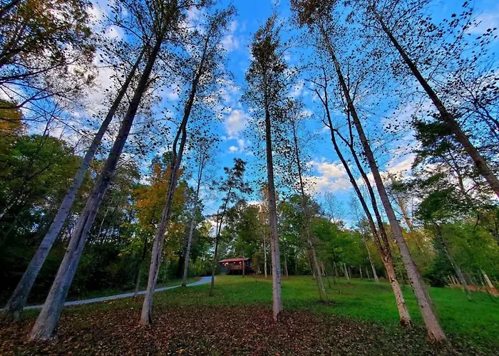 Glade Cottage At White Lotus Eco Spa Retreat