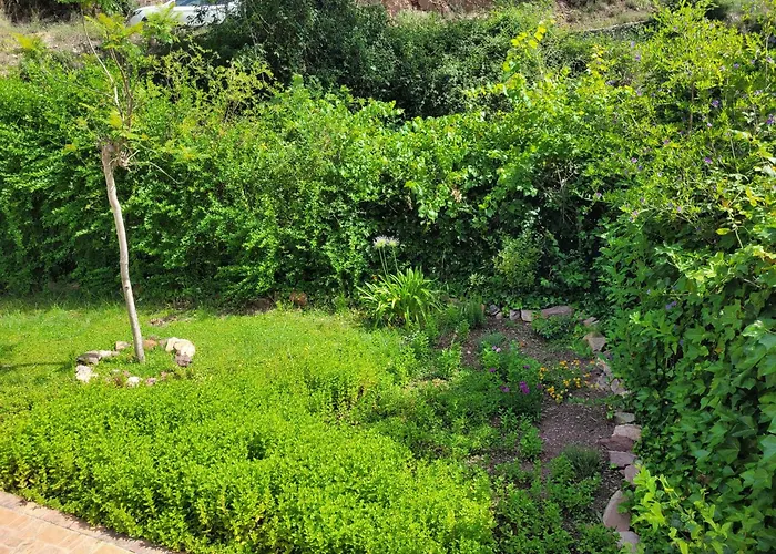 Trocito De Paraiso En La Sierra Espadan