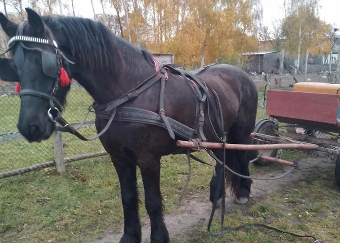 Gospodarstwo Agroturystyczne