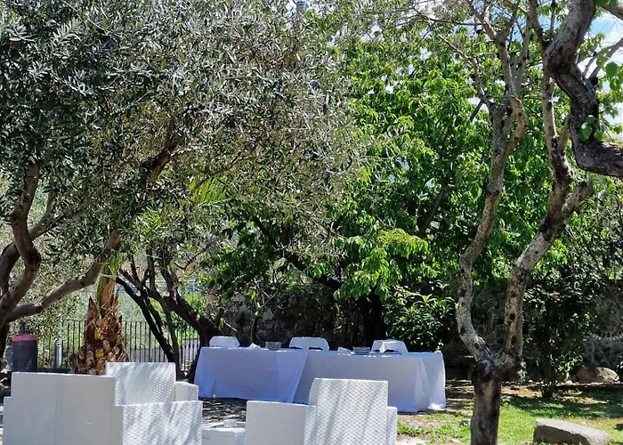 Tenuta Oliva