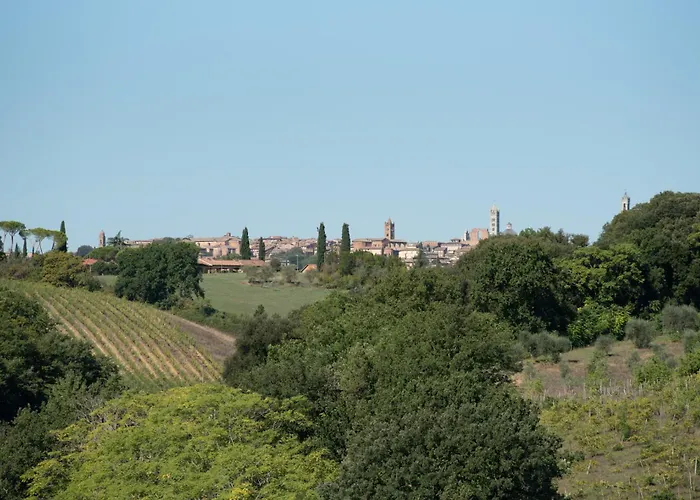 Il Colle