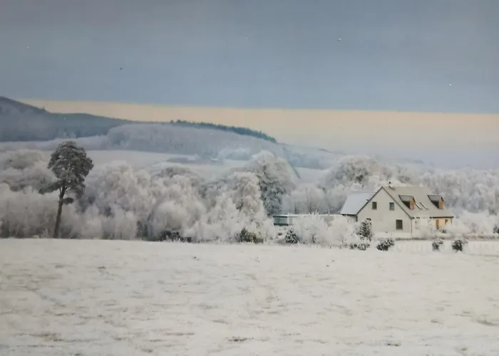 Hillhaven Lodge