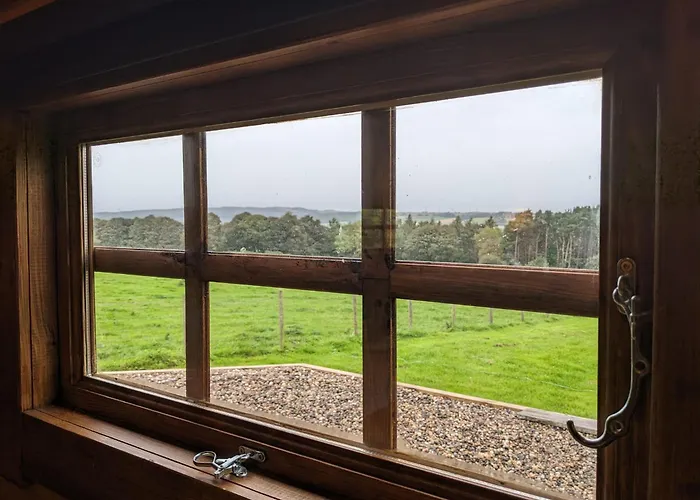 Campsite: West Wood Yurts Ltd